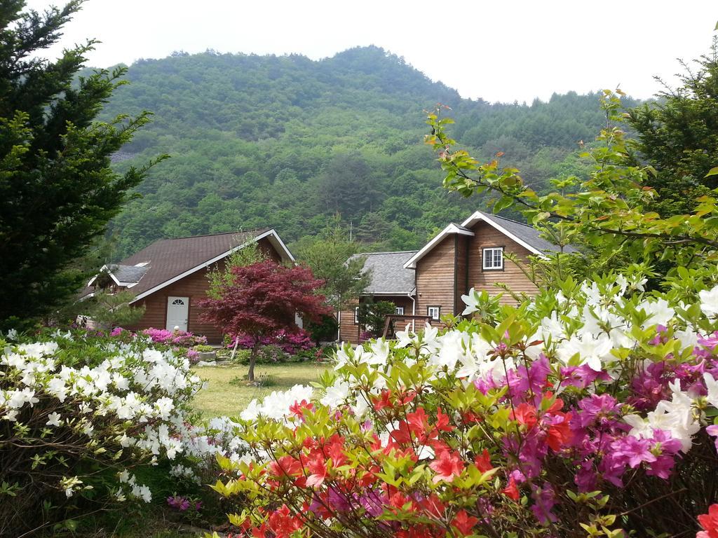 River Terrace Pension Пхёнчхан Экстерьер фото